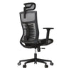 Cadeira Ergonômica Elements Vertta Pro