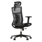 Cadeira Ergonômica Elements Vertta Pro