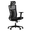 Cadeira Ergonômica Elements Vertta Pro