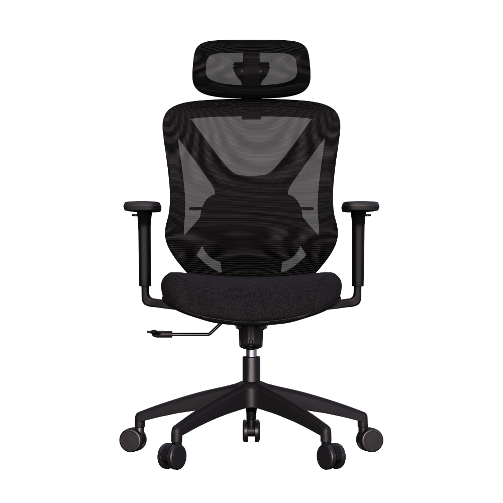 Cadeira Ergonômica Elements Rasala