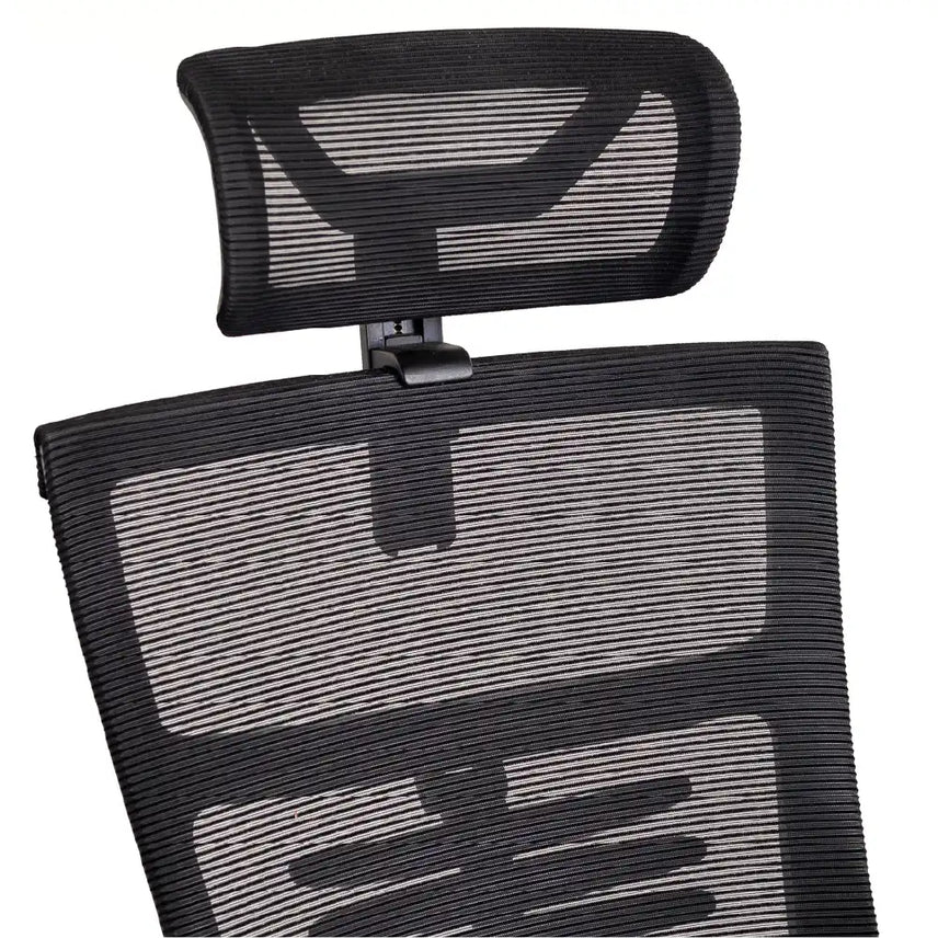 Cadeira Ergonômica Elements Vertta Pro