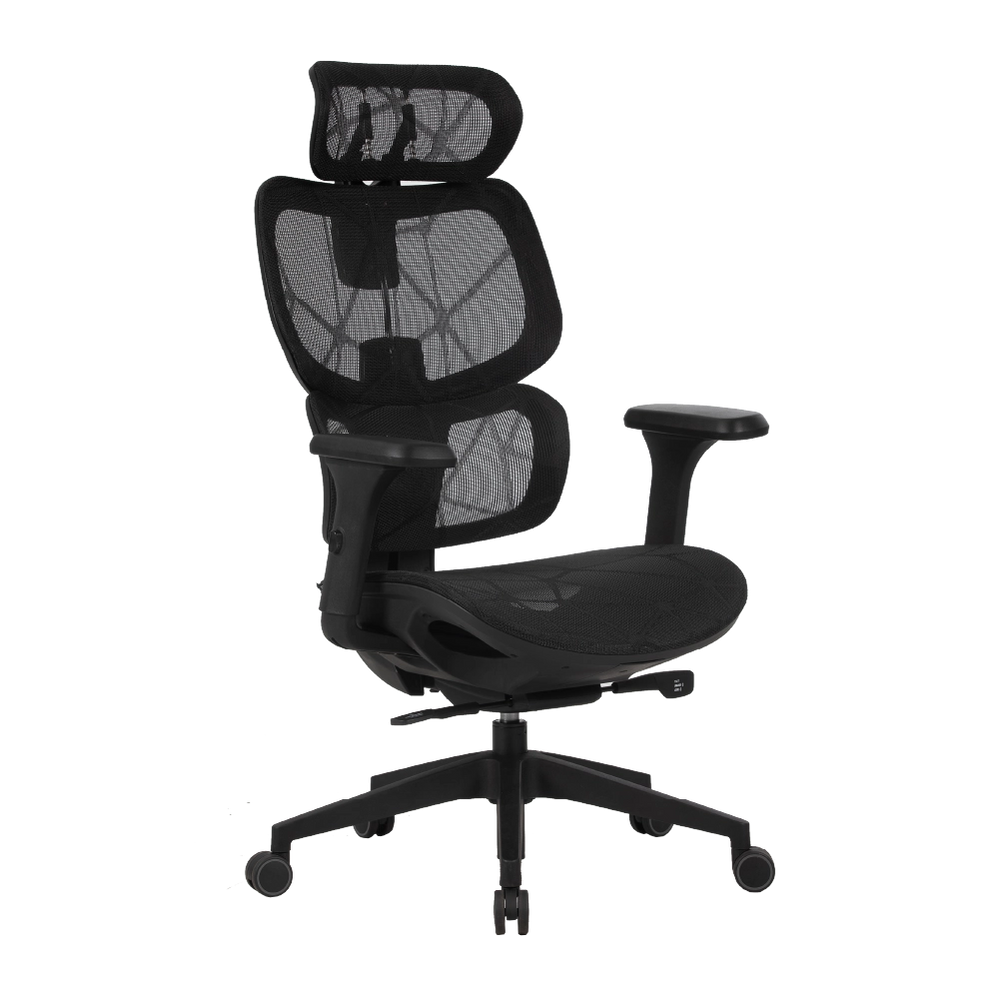 Cadeira Ergonômica Elements Siggy