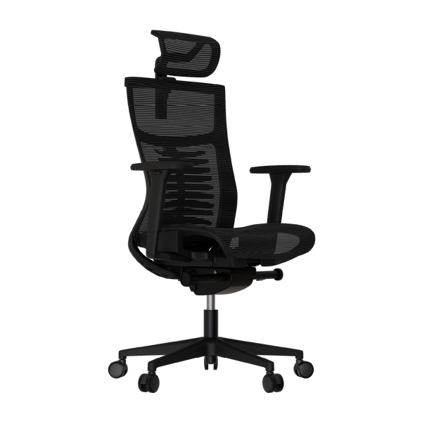 Cadeira Ergonômica Elements Vertta Special