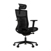 Cadeira Ergonômica Elements Vertta Special
