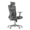 Cadeira Ergonômica Elements Vertta Pro