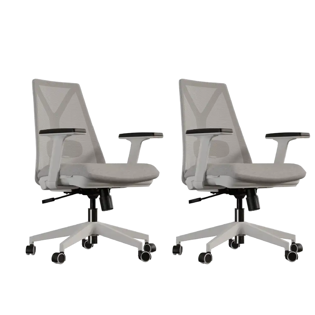Kit 2 Cadeiras Ergonômicas Elements Olympia