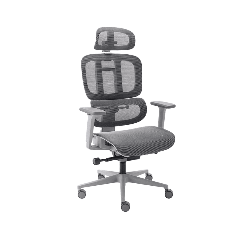 Cadeira Ergonômica Elements Sophy - Open Box