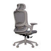 Cadeira Ergonômica Elements Alásia