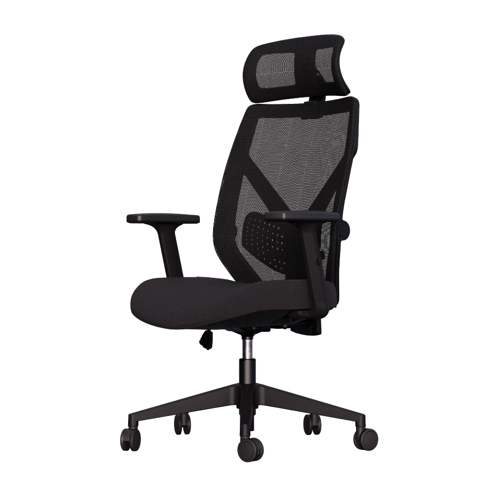 Cadeira Ergonômica Elements Albari