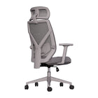 Cadeira Ergonômica Elements Albari