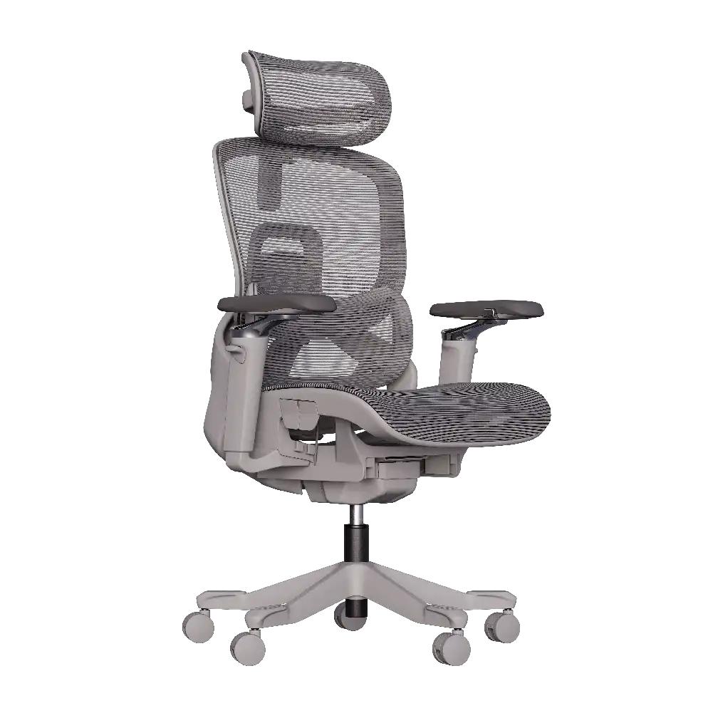 Cadeira Ergonômica Elements Aniara