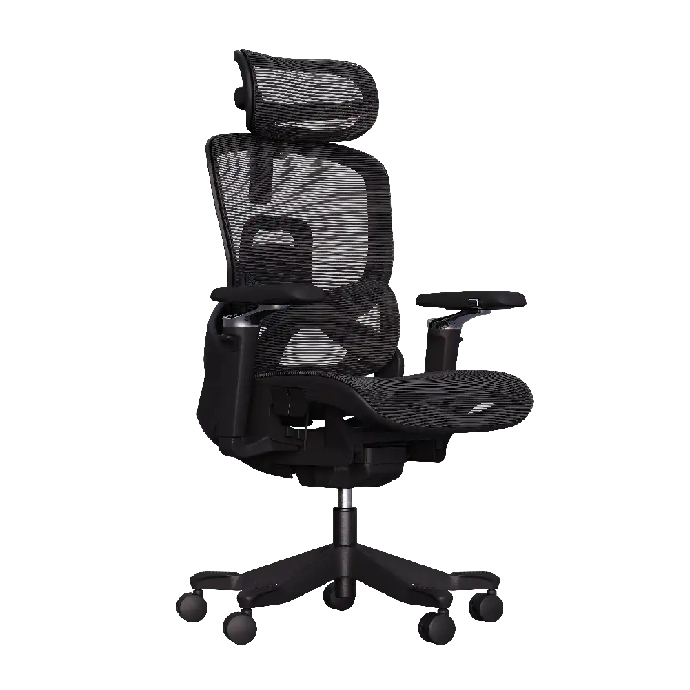 Cadeira Ergonômica Elements Aniara