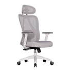 Cadeira Ergonômica Elements Samaia