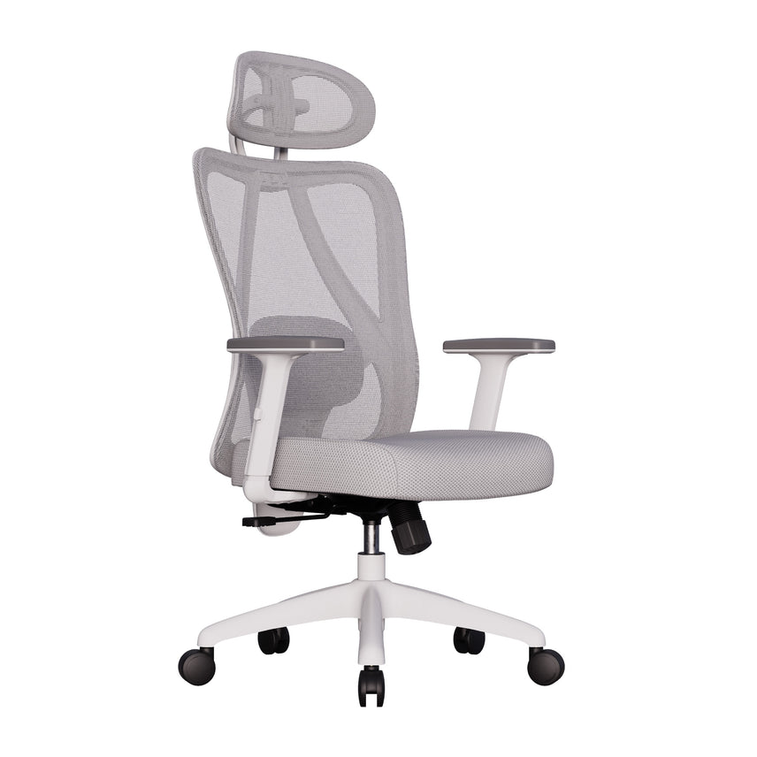 Cadeira Ergonômica Elements Samaia