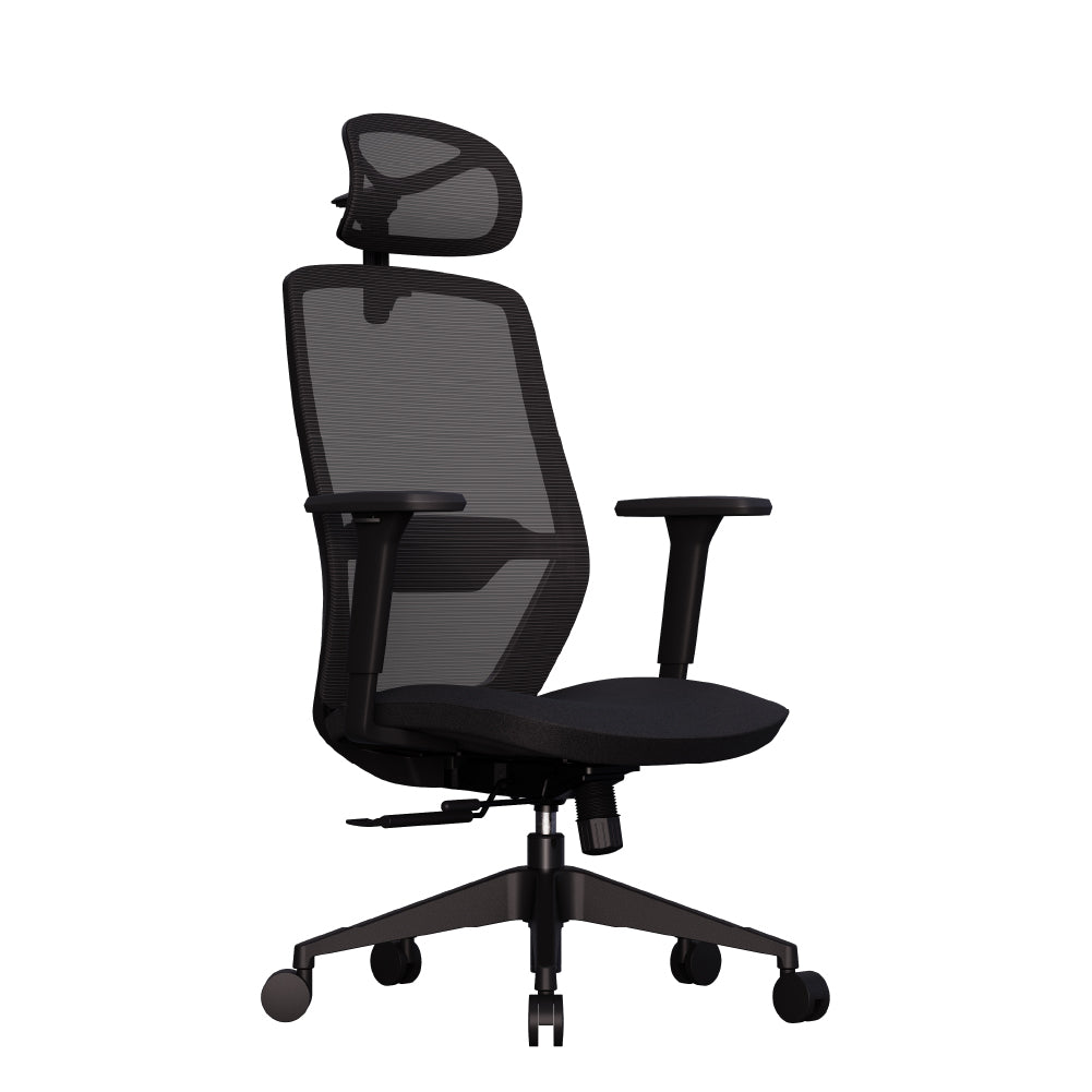 Cadeira Ergonômica Elements Serena