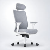 Cadeira Ergonômica Elements Astra Pro