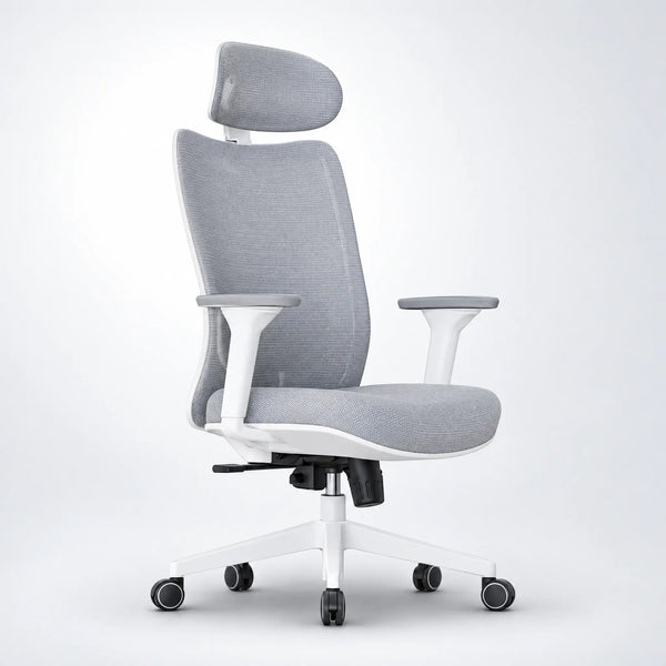 Cadeira Ergonômica Elements Astra Pro
