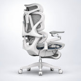 Cadeira Ergonômica de Ajuste Elétrico Elements EOS