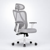 Cadeira Ergonômica Elements Samaia