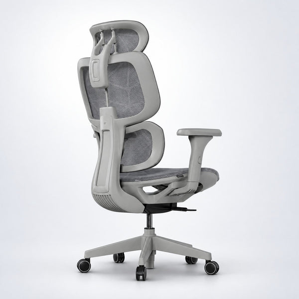 Cadeira Ergonômica Elements Siggy